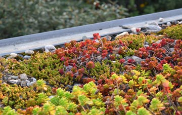 the cost of Bryncoch green roof installation