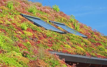 Bryncoch living roof systems