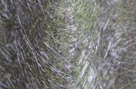 Bryncoch fibreglass roof work